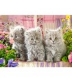 Puzzle da 260 Pezzi - Tre Gattini Grigi