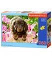 Puzzle da 260 Pezzi - Bassotto Carino