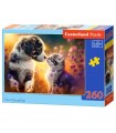 Puzzle da 260 Pezzi - Nuova Amicizia