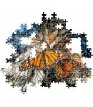 Puzzle da 1000 Pezzi - Nat Geo: Farfalla Monarca