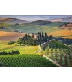 Puzzle da 1000 Pezzi Tuscany