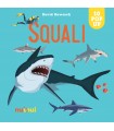 Sorprendenti Pop Up - Squali