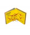 Sorprendenti Pop Up - Dinosauri