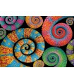 Puzzle da 500 Pezzi - Curly Tails
