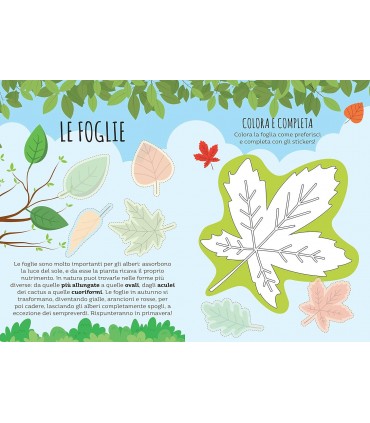 Giochi di Carte - Dubito! La Natura