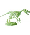Archeogiocando - Velociraptor