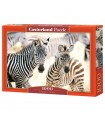 Puzzle da 1000 Pezzi - Giovani Zebre