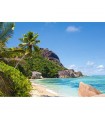 Puzzle da 3000 Pezzi - Spiaggia Tropicale, Seychelles
