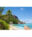Puzzle da 3000 Pezzi - Spiaggia Tropicale, Seychelles