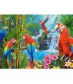 Puzzle da 2000 Pezzi - Incontro dei Pappagalli