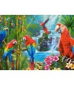 Puzzle da 2000 Pezzi - Incontro dei Pappagalli