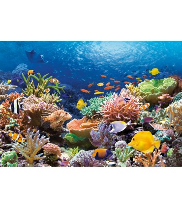 Puzzle da 1000 Pezzi - Pesci della Barriera Corallina