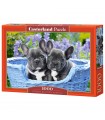 Puzzle da 1000 Pezzi - Cuccioli di Bulldog Francese