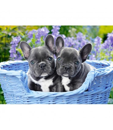Puzzle da 1000 Pezzi - Cuccioli di Bulldog Francese
