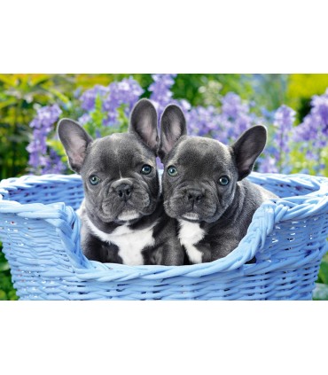 Puzzle da 1000 Pezzi - Cuccioli di Bulldog Francese