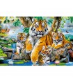 Puzzle da 1000 Pezzi Tigri Vicino al Ruscello