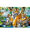 Puzzle da 1000 Pezzi Tigri Vicino al Ruscello
