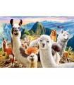 Puzzle da 1000 Pezzi - Selfie dei Lama