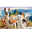 Puzzle da 1000 Pezzi - Selfie dei Lama