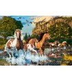 Puzzle da 1000 Pezzi Il Paese delle Meraviglie dei Cavalli