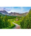 Puzzle da 500 Pezzi - Sentiero nei Tatra, in Polonia