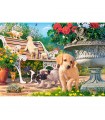 Puzzle da 500 Pezzi Nascondino