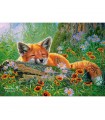 Puzzle da 500 Pezzi Sogni di una Volpe