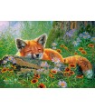 Puzzle da 500 Pezzi Sogni di una Volpe