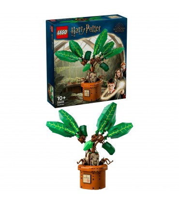 Harry Potter - Mandragola