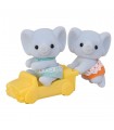Gemelli Elefante