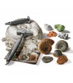 Scienza & Gioco - Fossili e Minerali