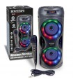 Amplificatore Wireless con Display, Microfono e Luci RGB