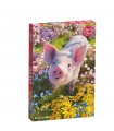 Puzzle da 500 Pezzi - Do you love me?