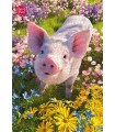 Puzzle da 500 Pezzi - Do you love me?