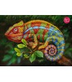 Puzzle da 1000 Pezzi - Chameleon