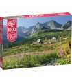 Puzzle da 1000 Pezzi - G?sienicowa hall in Tatras