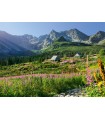 Puzzle da 1000 Pezzi - G?sienicowa hall in Tatras
