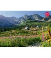 Puzzle da 1000 Pezzi - G?sienicowa hall in Tatras