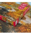Puzzle 1000 pezzi - Autumn in an old park