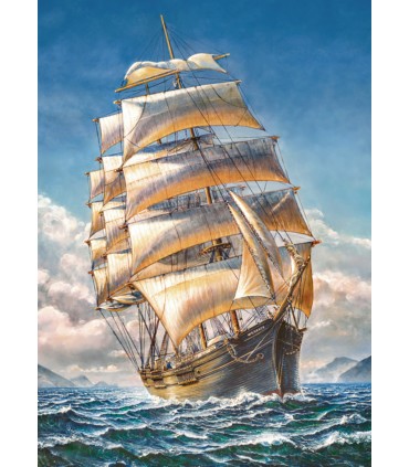 Puzzle da 1000 Pezzi - Sailing the WR Grace