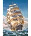 Puzzle da 1000 Pezzi - Sailing the WR Grace