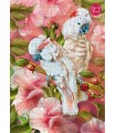 Puzzle da 1000 Pezzi - Tropic Spirits - Cockatoo