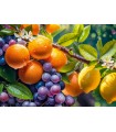 Puzzle 1000 pezzi Sunny Fruits