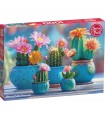 Puzzle da 1000 Pezzi - Bloomy Cactus Fireworks