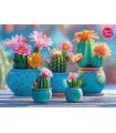 Puzzle da 1000 Pezzi - Bloomy Cactus Fireworks