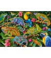 Puzzle da 2000 Pezzi - Amazing Chameleons