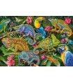 Puzzle da 2000 Pezzi - Amazing Chameleons