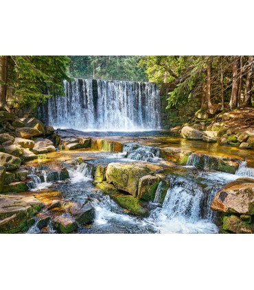Puzzle da 2000 Pezzi - Forest Cascade