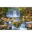Puzzle da 2000 Pezzi - Forest Cascade