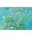 Puzzle 1000 pezzi Vincent Van Gogh Almond Blossom